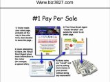 Affiliate Marketing Internet Business Programs - 3 Great Ways to Earn