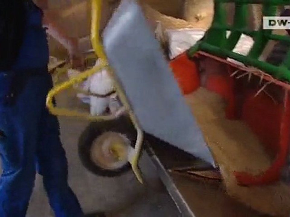 Climate Change - Energy Self-Sufficiency in Denmark | Global 3000