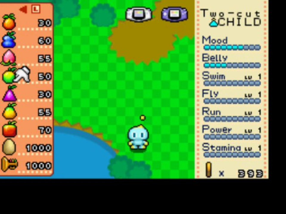 Sonic Advance 8) Tiny Chao Garden