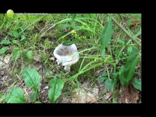 Loire-Atlantique 2030 - CDLA - Hervé Le Bouler