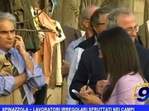 Spinazzola | Lavoratori irregolari sfruttati nei campi