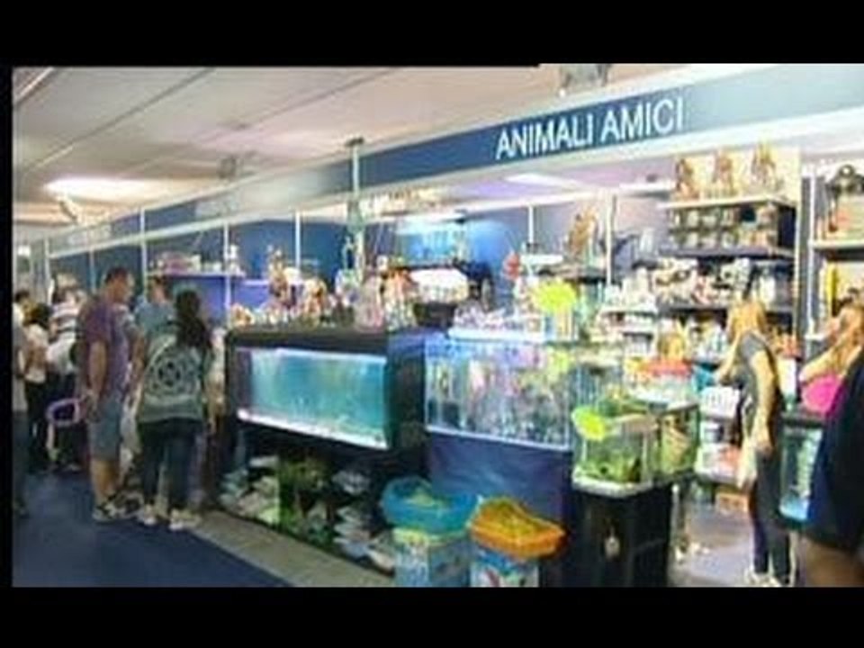 Trentola Ducenta - Grande successo di presenze per Napoli acquatic