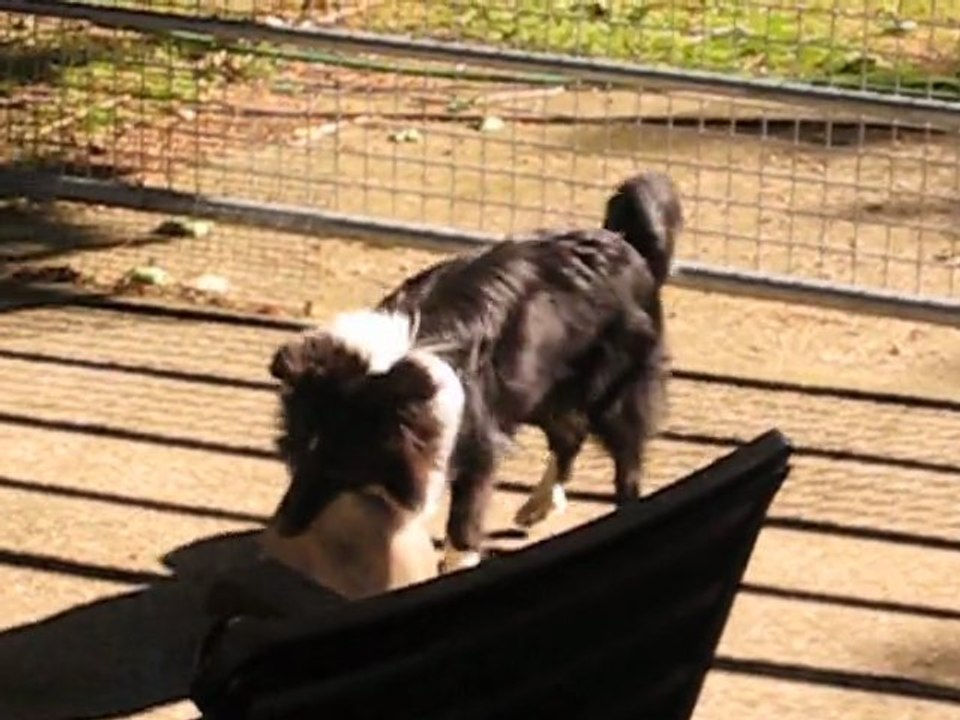 First se défoule sur le ballon.