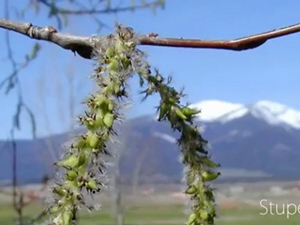 59 s - 7 juil. 2011 video Dvd Musique Classique HD/ EIGER 3970 SUPERCOPTER ...Jean-Luc Pouchet The Jean-Luc Pouchet Collection - CD MUSIQUE ... 59 s - 7 juil. 2011 video Dvd Musique Classique HD/ EIGER 3970 SUPERCOPTER ...Jean-Luc Pouchet The Jean-Luc Pou