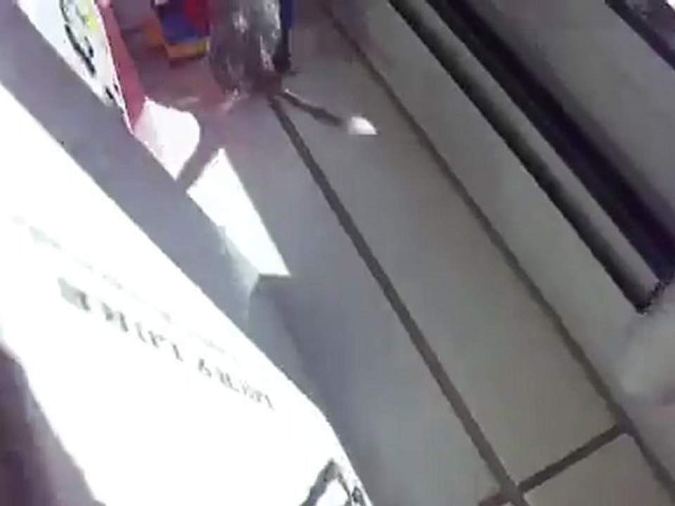 Cracotte fait de l'agility !