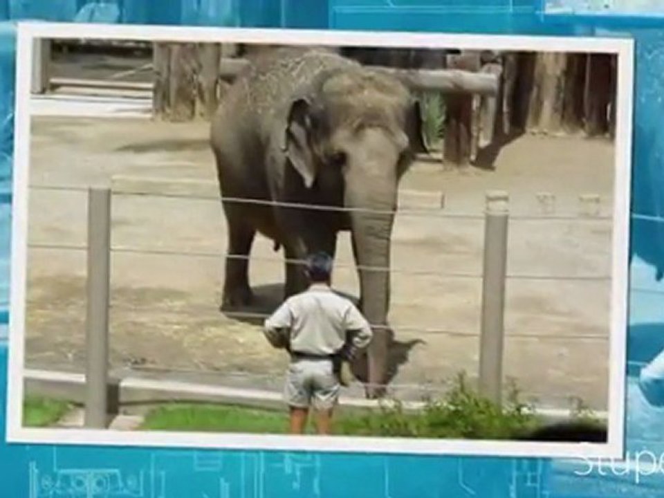 2011 – video Academie de Musique /3970 EIGER / CLASSICAL MUSIC ON THE WEB USA /marcforsyte MUSIQUE CLASSIQUE Jean-Luc Pouchet ... 2011 – video Academie de Musique /3970 EIGER / CLASSICAL MUSIC ON THE WEB USA /marcforsyte MUSIQUE CLASSIQUE Jean-Luc Pou