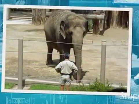 2011 – video Academie de Musique /3970 EIGER / CLASSICAL MUSIC ON THE WEB USA /marcforsyte MUSIQUE CLASSIQUE Jean-Luc Pouchet ... 2011 – video Academie de Musique /3970 EIGER / CLASSICAL MUSIC ON THE WEB USA /marcforsyte MUSIQUE CLASSIQUE Jean-Luc Pou