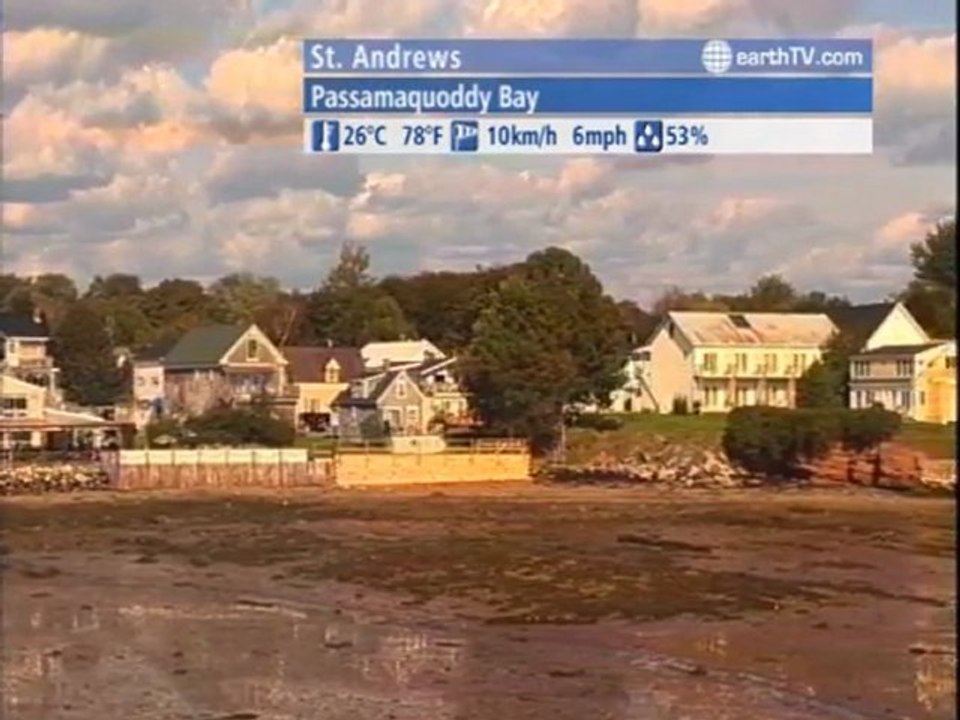 Geneva - Switzerland, Vienna - Austria, Cannes - France, St. Andrews - Canada, Dresden - Germany, Lucerne - Switzerland, Ekaterinburg - Russia