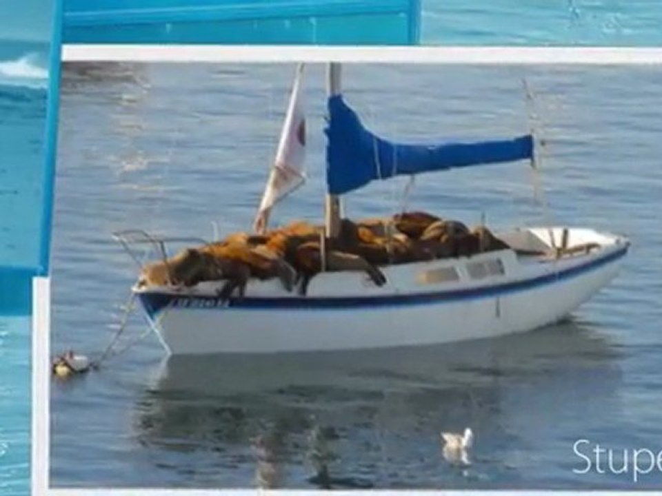 Academie de Musique / SUPERCOPTER 08 / 3970 EIGER / CLASSICAL MUSIC ON THE WEB USA / MUSIQUE CLASSIQUE Music EIGER 3970 SUPERCOPTER 8 The Jean-Luc Pouchet Collection (2011) ...  Durée : 00:00:15 |  15