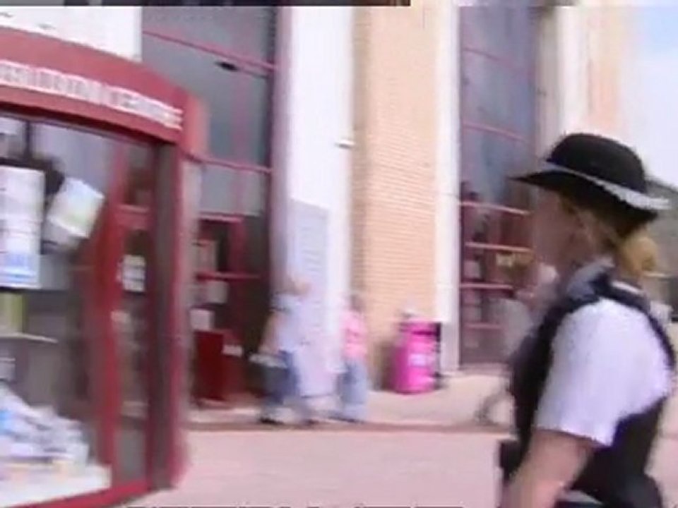 Dale Farm protesters climb Basildon Council building