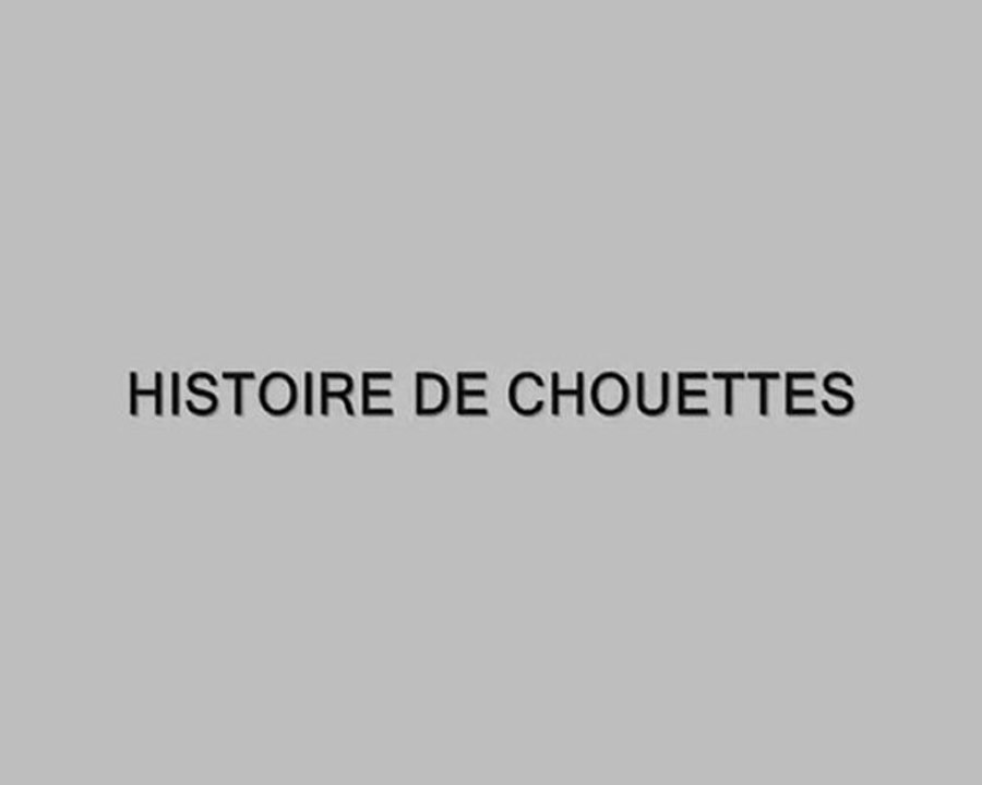 HISTOIRE DE CHOUETTES