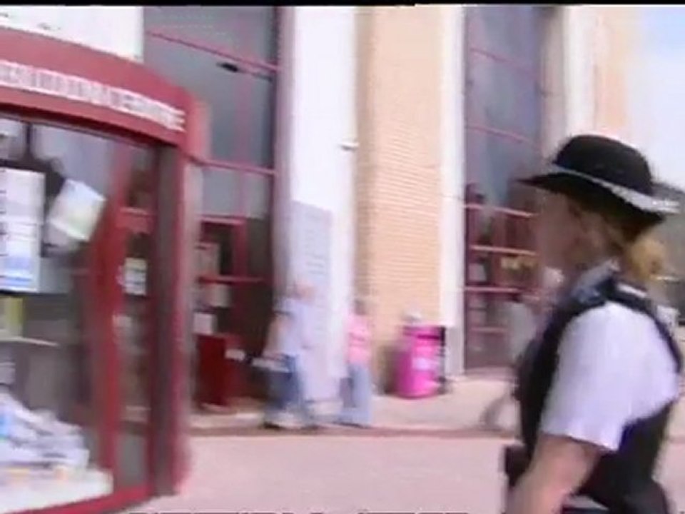 Dale Farm protesters climb Basildon Council building