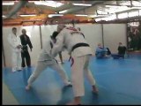 cours-jiu-jitsu-bresilien-paris