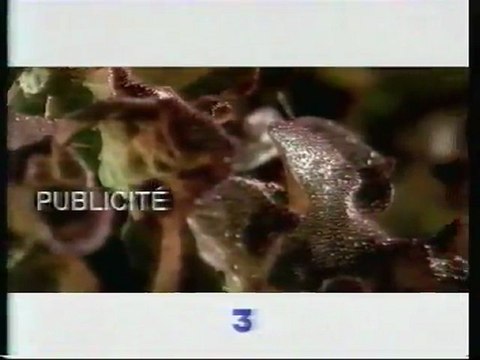 France 3 7 Décembre 2000 Pubs,Ba,Météo,Soir3,Prise Directe