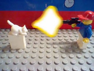 Lego Cat vs Human