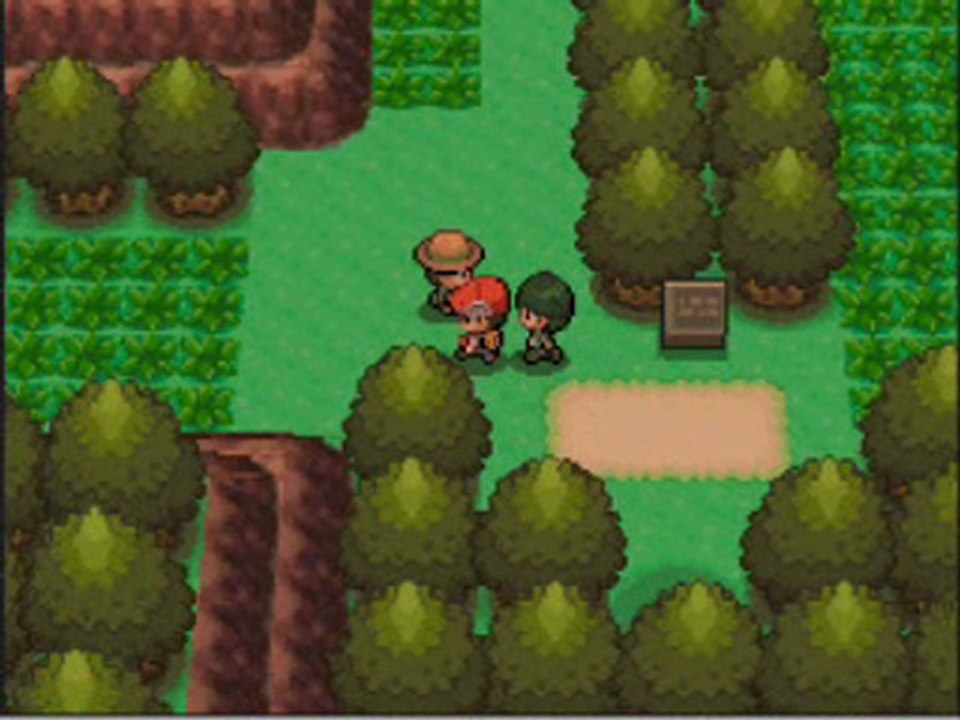 Pokémon Perle walkthrough  ,9) Ballade en forêt
