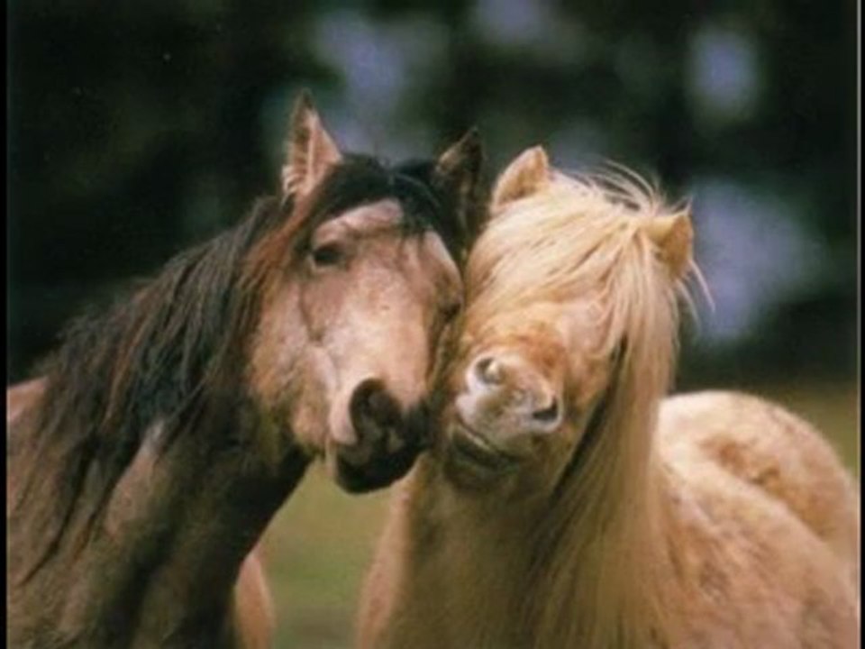 Sans titre_20110930_191737