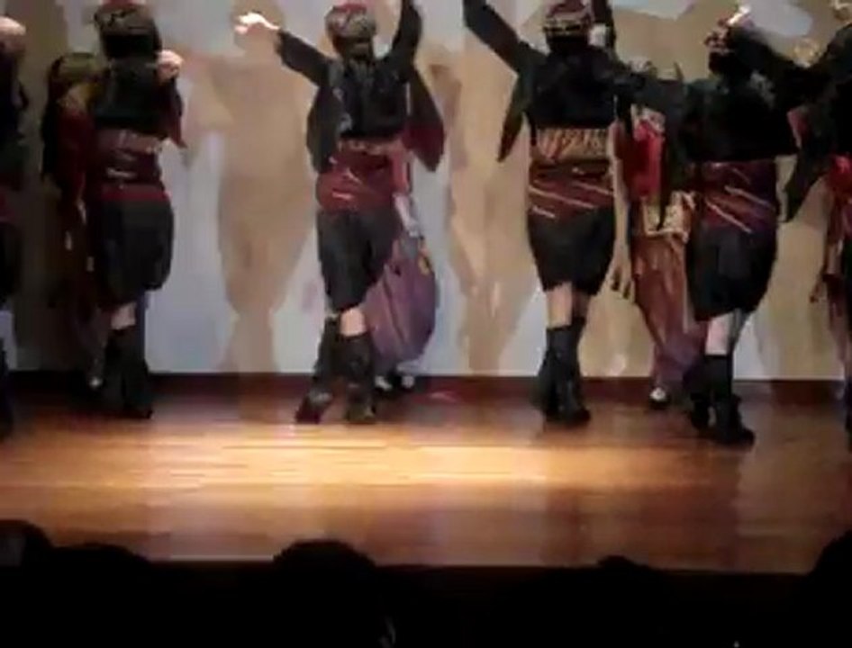 AYDIN VAKFI ZEYBEK EKİBİ - 2010 JAPONYA HAFTASI GÖSTERİSİ - 1