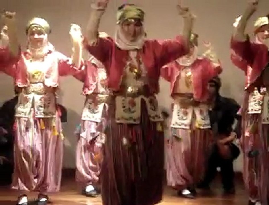 AYDIN VAKFI ZEYBEK EKİBİ - 2010 JAPONYA HAFTASI GÖSTERİSİ - 2