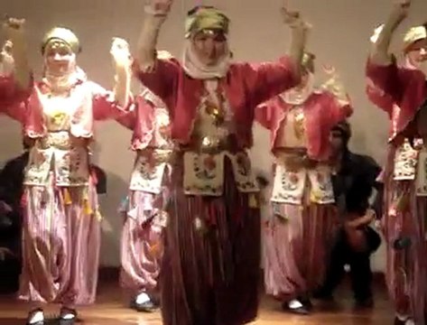 AYDIN VAKFI ZEYBEK EKİBİ - 2010 JAPONYA HAFTASI GÖSTERİSİ - 2