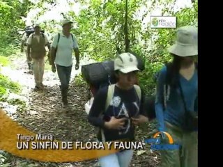 La gran aventura por el Parque Nacional de Tingo Maria