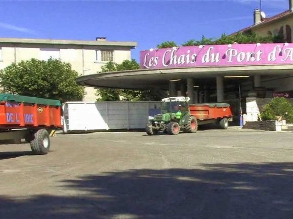 Les Chais du Pont d'Arc par Mathieu Vignal