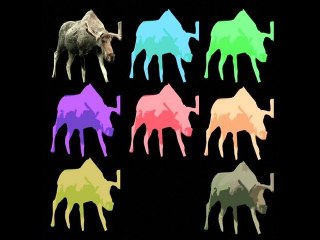 Trailer Festival "Elan Rock" 2011