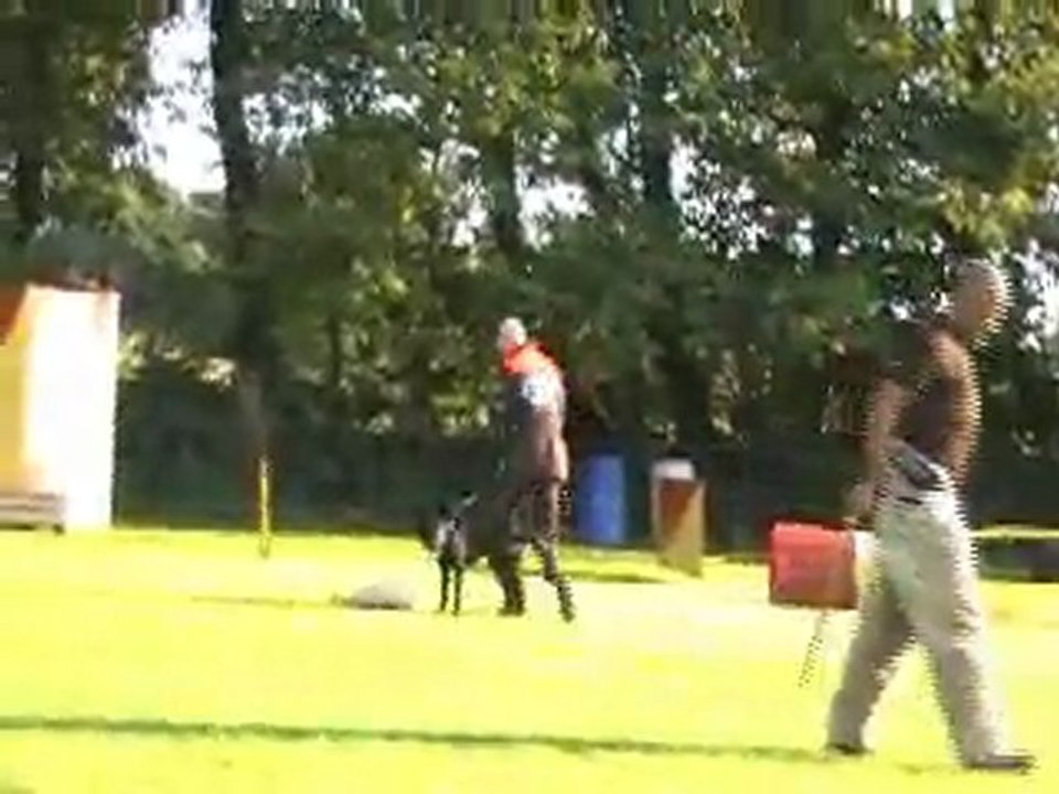 elfie-one  quatrieme entrainement
