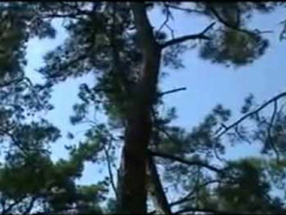 CüLmüm iLe GeLdim Sana