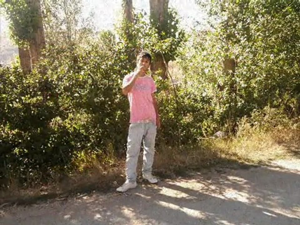 ekip arabesk sana elveda