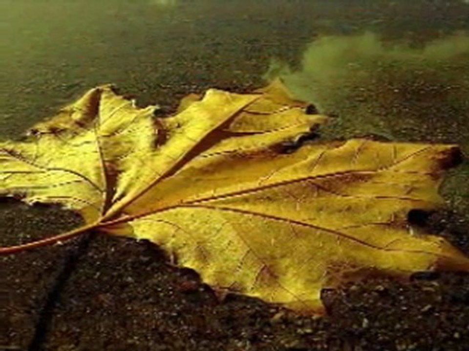 Erdem Ergün - Alma Ahımı