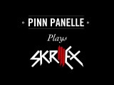 Skrillex - Live Dubstep Cover by Pinn Panelle