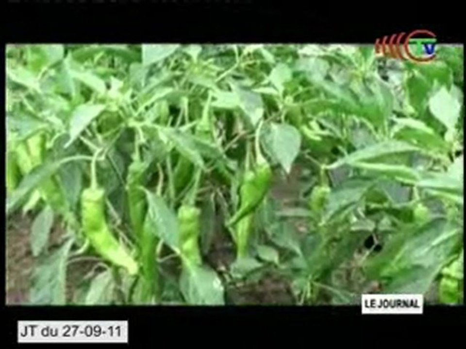 Le centre de formation et de démonstration des techniques agricoles