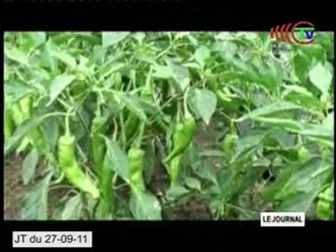 Le centre de formation et de démonstration des techniques agricoles