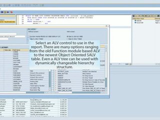 Hovitaga Report Generator for SAP - Comprehensive Overview