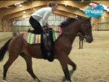 Equestrian Vaulting - What is Equestrian vaulting