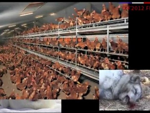 2o12 : changeons ...