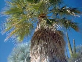 J'ai envie de respirer