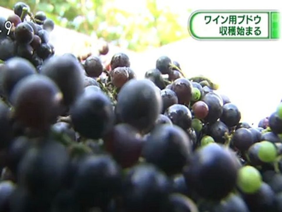 20110928 04