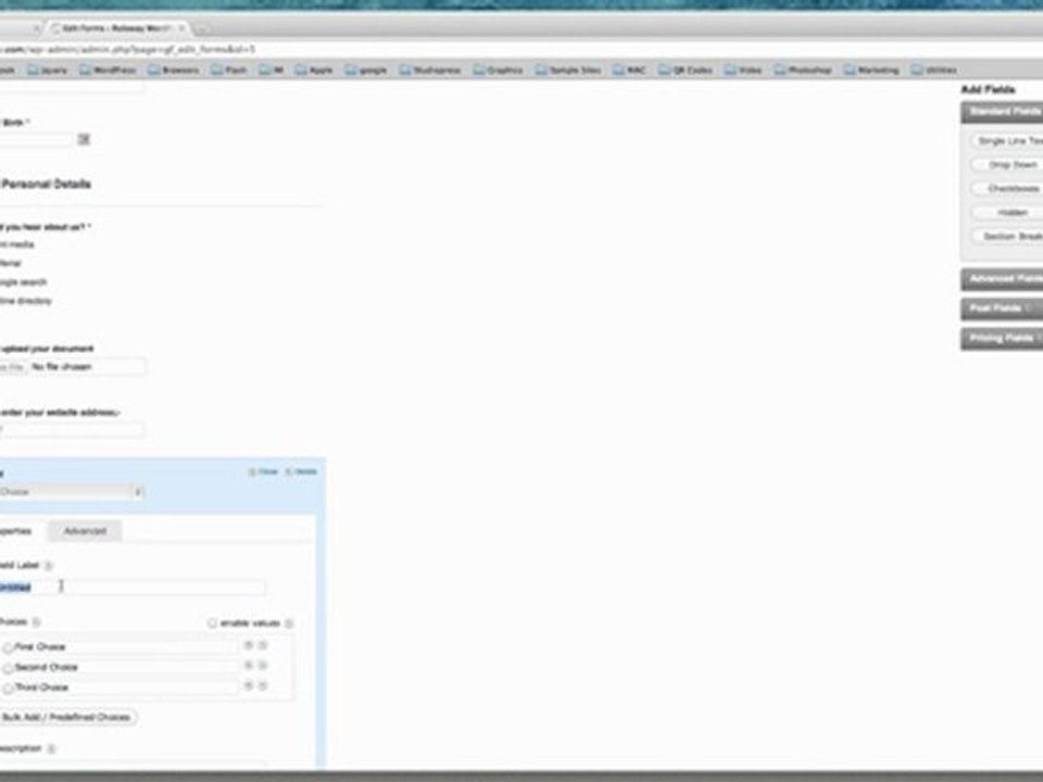 Adding a Form in a WordPress Website