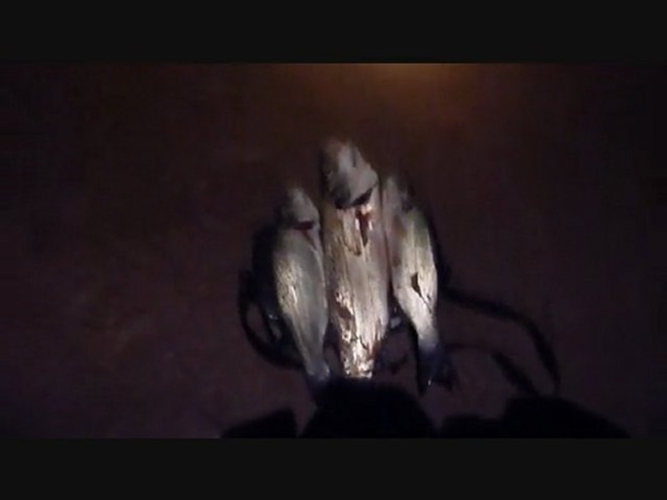 Pêche du 27-09-2011