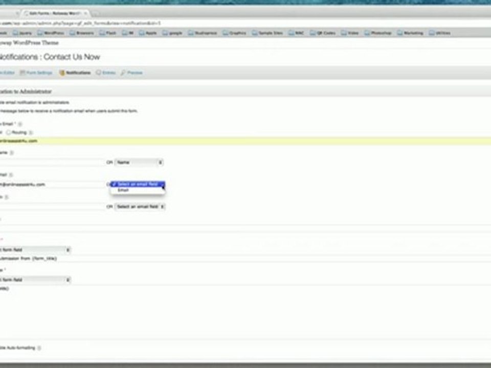 Adding a Simple Form in a WordPress Website