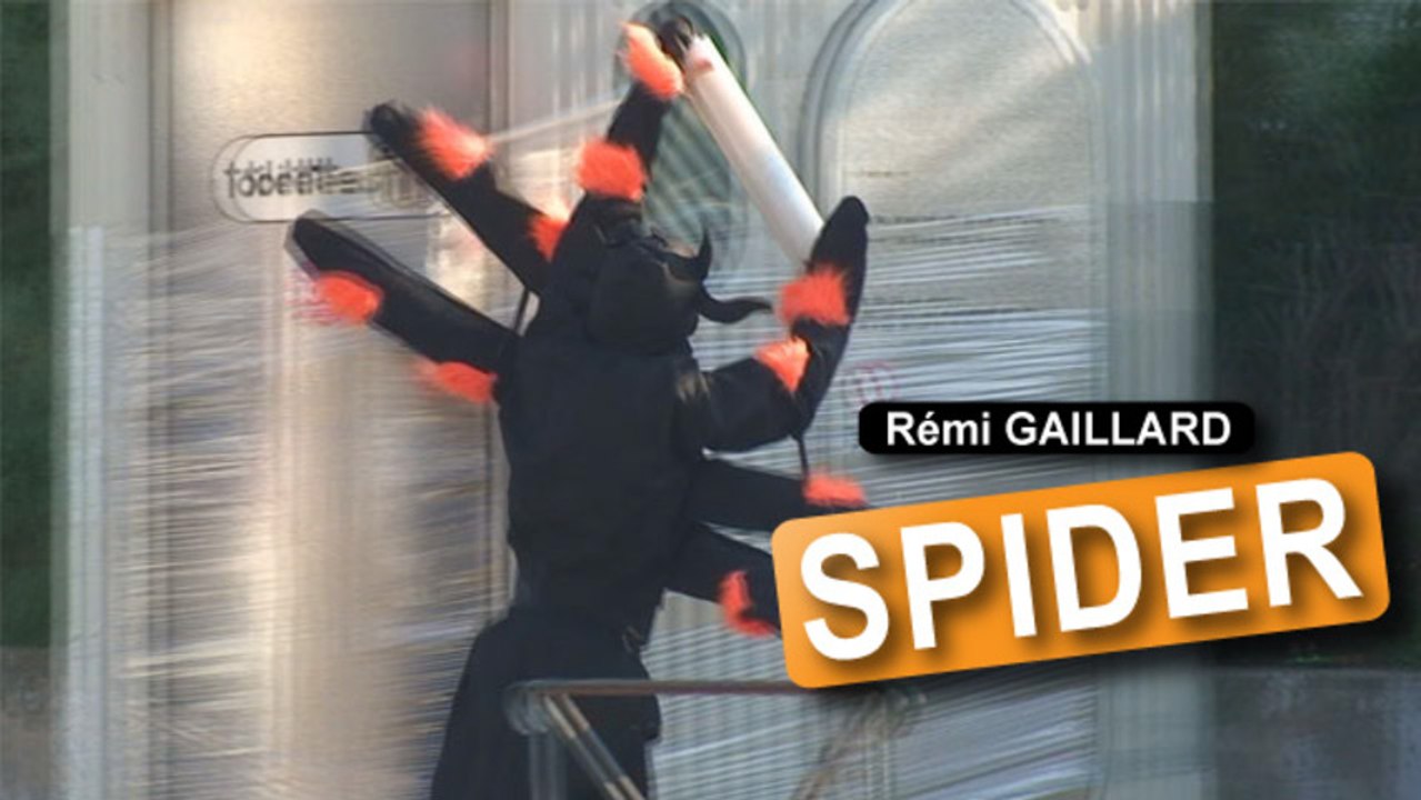 Araignée (Rémi Gaillard)