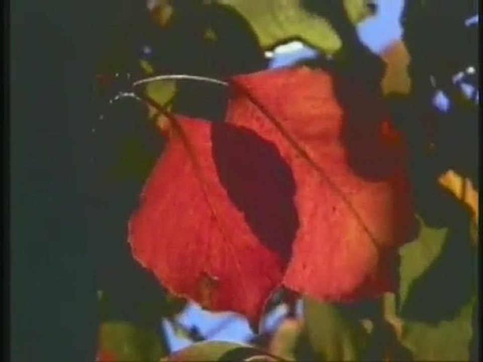 Harun Yahya TV - The names of Allah- Al-Bari_ (The Maker)