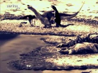 Jurassic Fight Club (La Guerre de L'eau)