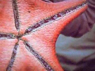 WANDERLUST | Karimun Jawa