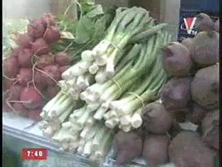 Noticia sobre el I Congreso Centroamericano de Agricultura Orgánica en VICA Informativo, Canal 9.