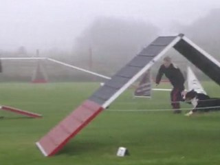 Concours de Dieuze septembre 2011