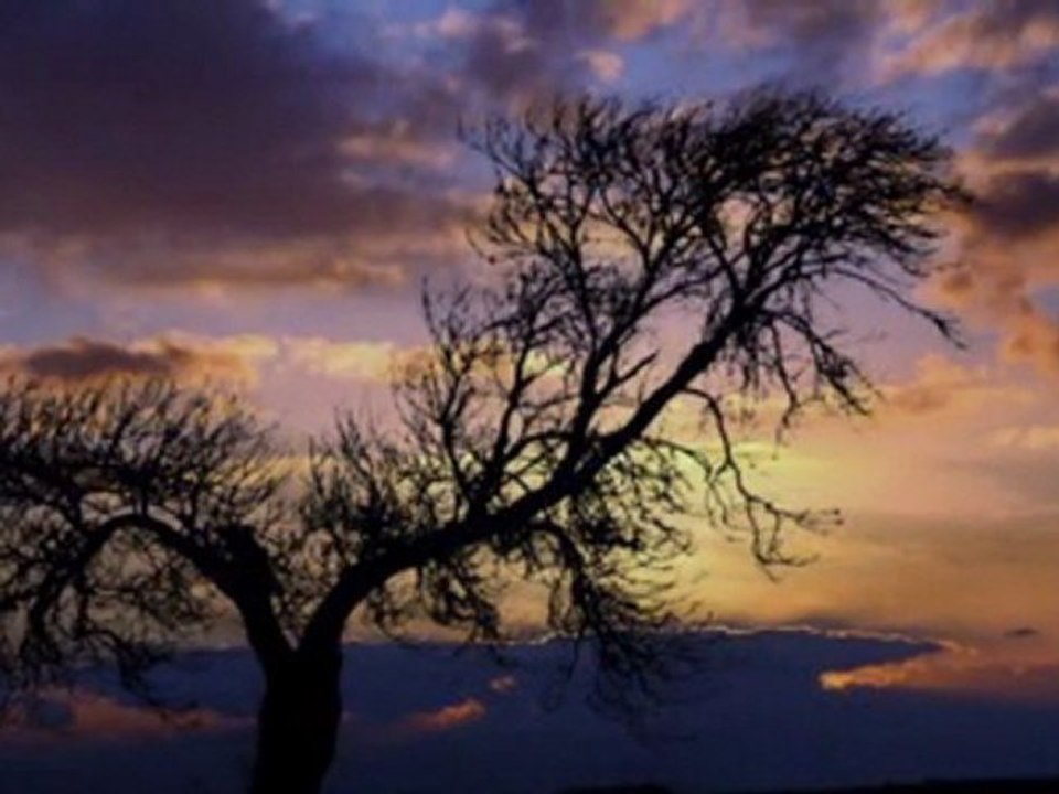 Fausto Papetti - The Shadow Of Your Smile