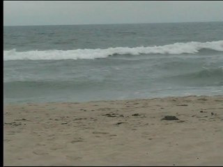 Entraînement du samedi 03 septembre